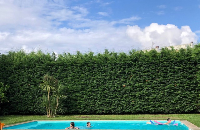 Casa Pedro and Inês - Holydays House - Tourism and leisure on the Green Coast!