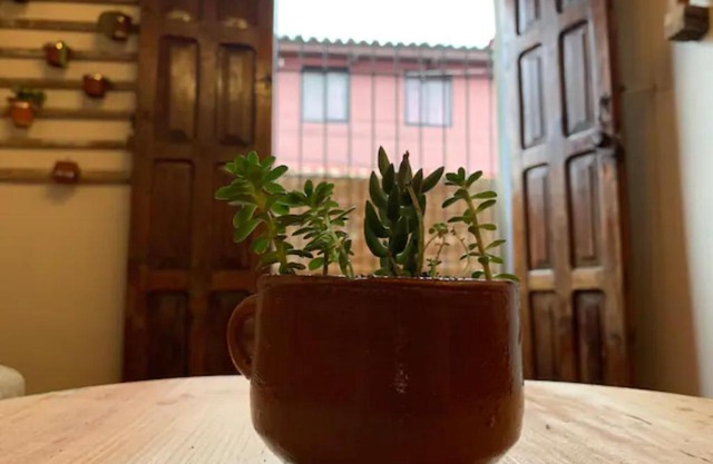 Casa PiYo