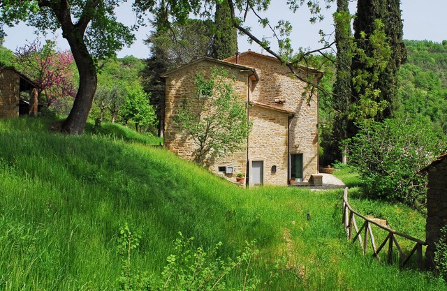 Casa Piccina - Nestling among tall cypresses, ancient oaks and… silence
