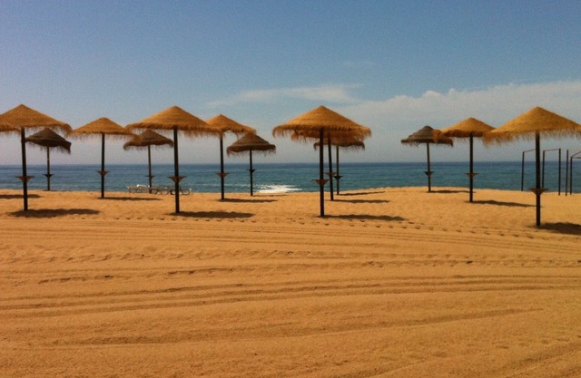 Casa Rocha in Portugal with a small pool! . "promo from August 17th to 24th" .