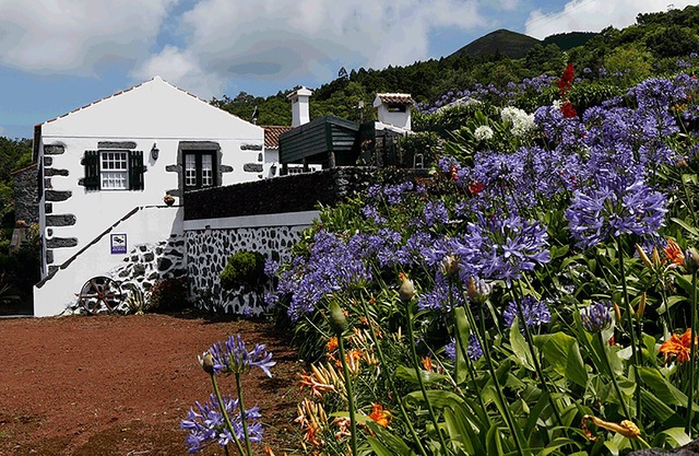 Casas do Capelo - Typically Azorean