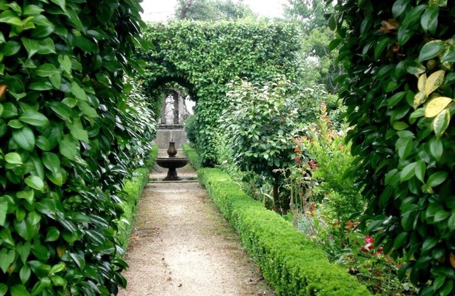 CASINHA T1 IN QUINTA, 10 KM OF GUIMARAES, WITH POOL AND GARDEN