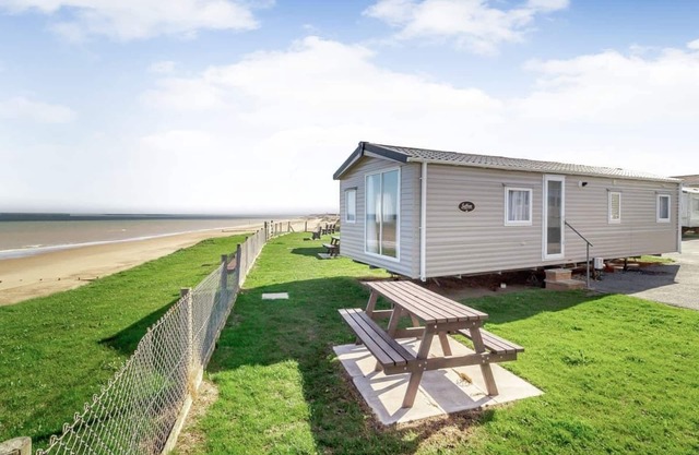 Castaways Oyster 10 (Pet)