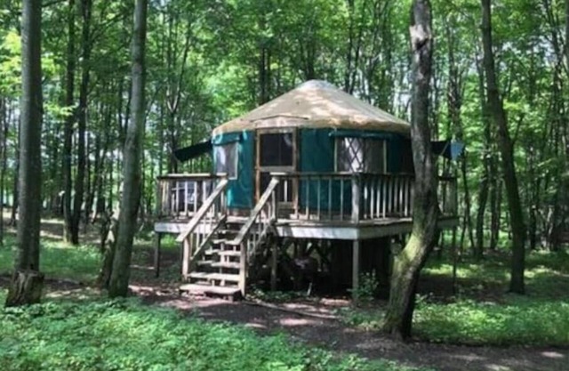 Catskills Luxury Yurt - Awesome Glamping experience