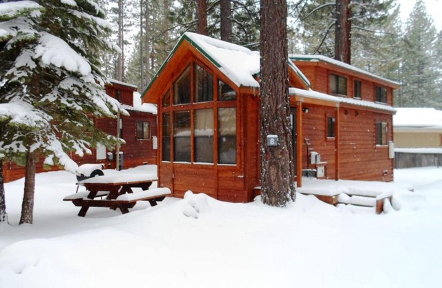 Cedar Pines Resort