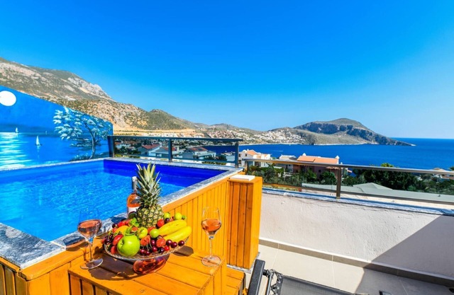 Central 2 Bedroom Apartment with Private Plunge Pool