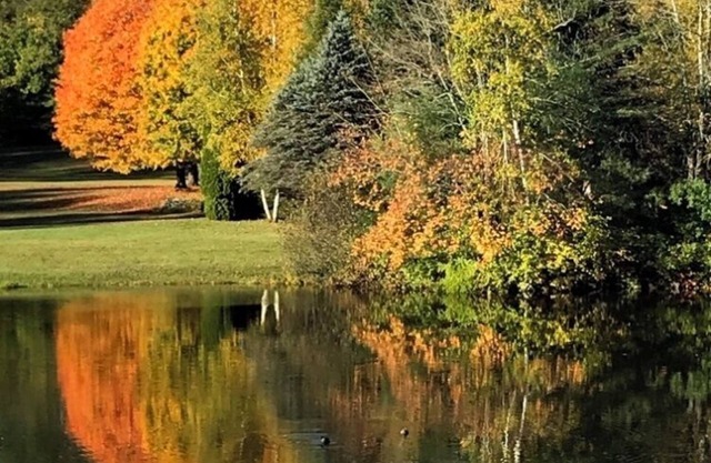 Central Maine Apartment offering 4 Seasons of Fun.