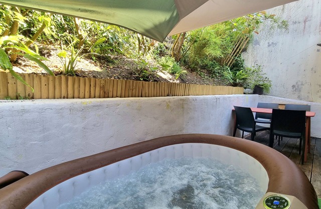 Centre-ville/Jacuzzi/1 Place Parking