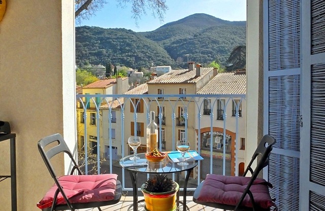 Ceret Centre -Sun-Filled Apt, mountain views with A/C