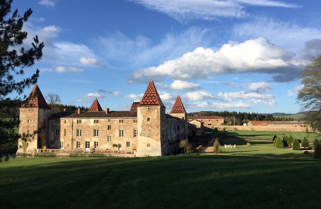 Château Monument Historique - Beaujolais Vert - 4/8 pers. (95/160 m²) - Swimming pool
