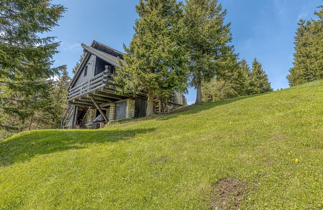 Chalet Snowflake IIb 20m From Ski Trail, Šmartno pri Slovenj Gradcu, Slovenia