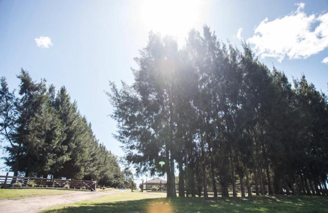 Chacra Los Arándanos