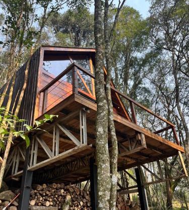 Chalé Araucária