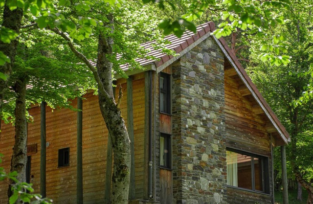 Chalet 2/4 pers à la Bastide-PuyLaurent LZV035C