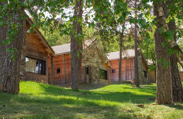 Chalet 6-8 pers à la Bastide-PuyLaurent - LZV035D0
