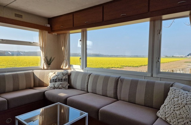 Chalet 'Como La Flor' Julianadorp Flowerfields Overview! (Airconditioning)