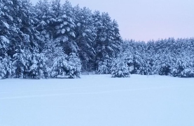 Chalet Drozd