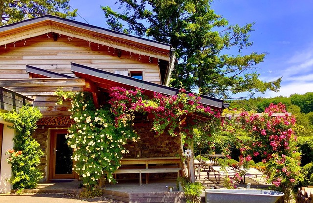 Chalet du Bickenberg in Osenbach near Colmar - playground - shared pool
