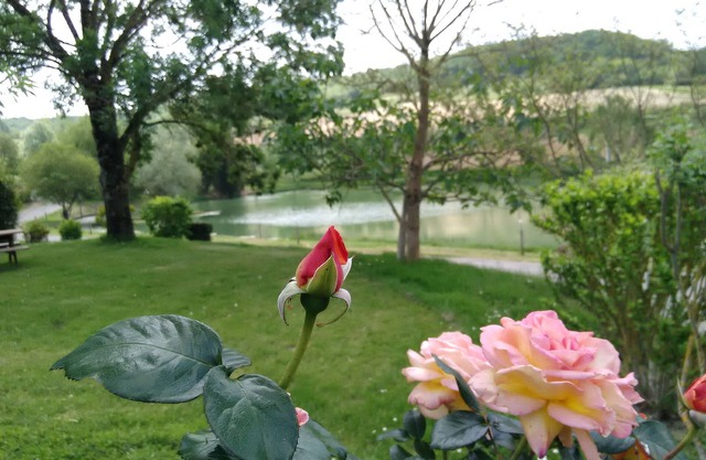 Chalet Edelweiss: sleeps 4/6