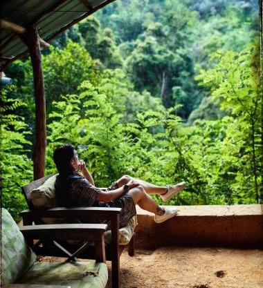Chalet in the Jungle