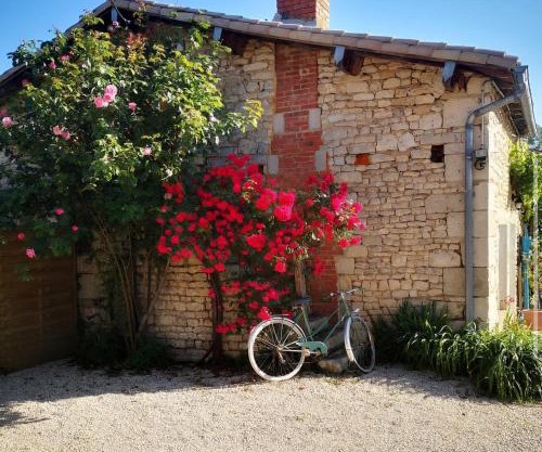 Chalet Nature & chiens de traîneaux