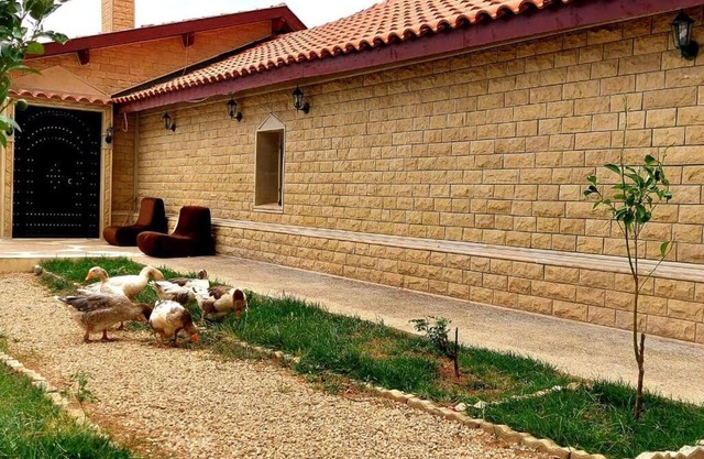 Chalet nina