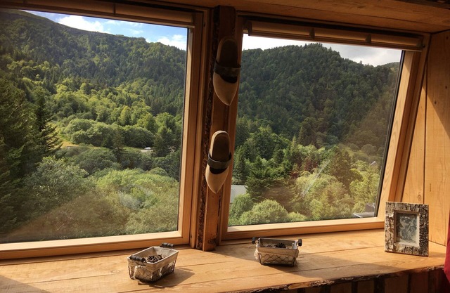 Chalet-style apartment, mountain view, sleeps 1 to 6 - Mont-Dore