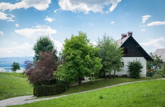 Chalet Vista