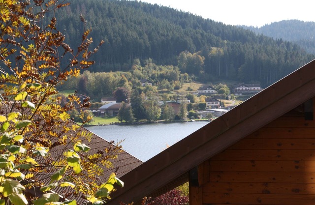 Chalet Vosgien - Nice apartment near the lake