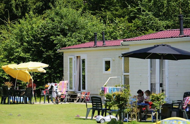 Chalet with a terrace and garden, on Veluwe