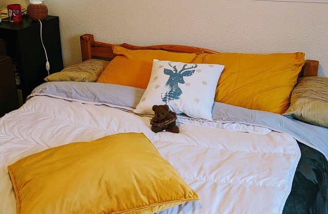Chambre aux Pieds des Volcans