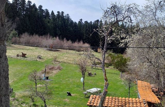 Chambre d'Hôtes la Fougeraie
