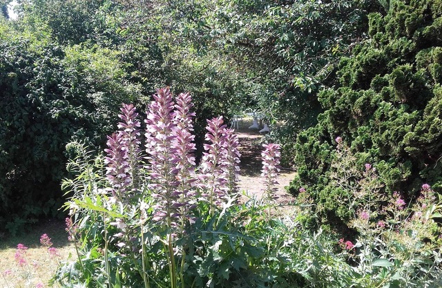Chambre du Jardin Fleuri