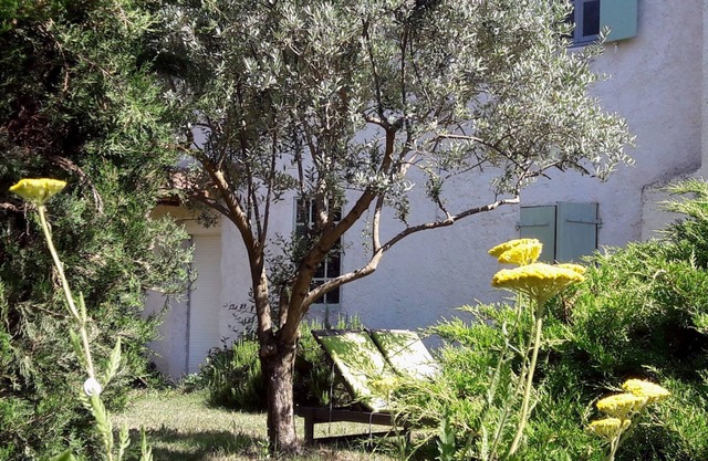 Chambres d'hotes A l'Ombre du Saule
