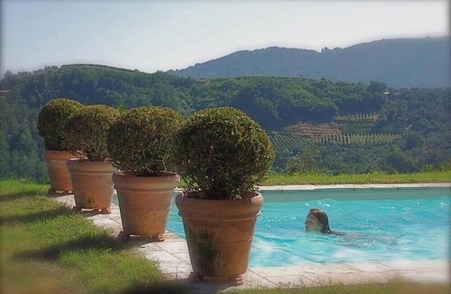 chaming little house with pool facing the most beautiful tuscan scenary