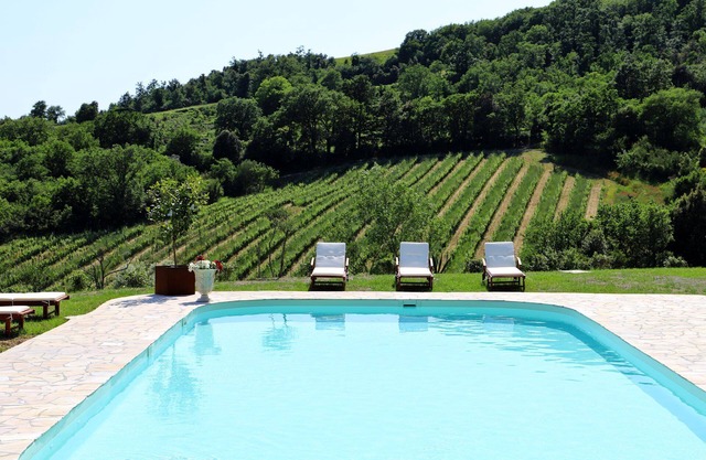 Charming villa w/private pool and vineyard views