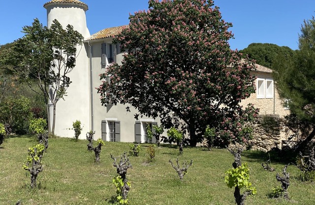 Character country property surrounded by vineyards