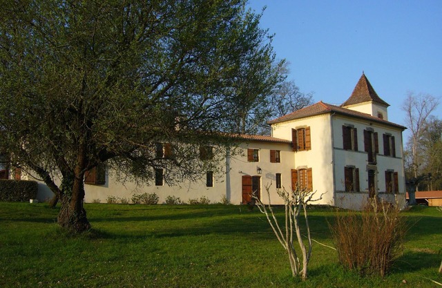 Character property in a wooded park with swimming pool