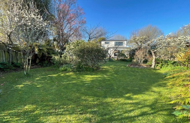 Character & new CNZhouse with quiet