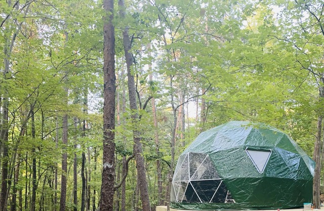 Charlotte Glamping Dome- Fawn and Fern Hideaway