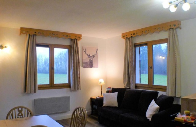 Charmant 2 pièces cabine avec parking et équipement modern à Samoëns - FR-1-629-121