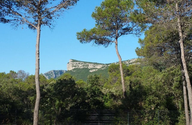 Charmante Maison Bien Située Entre Vigne et Pinède au Cœur du Pic Saint Loup