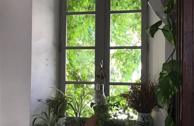 CHARMING OLD VILLAGE HOUSE, between Garrigues and PIC St LOUP