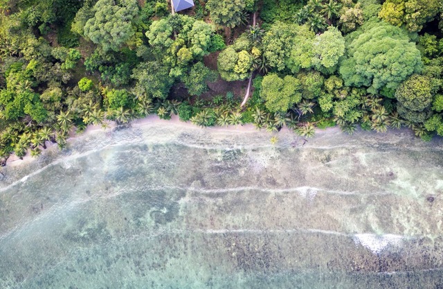 Charming bungalow in tranquil Bocas del Toro. Perfect spot for surf and relax.