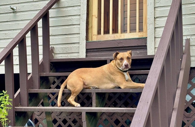 Charming 2-bedroom cottage in peaceful Schroon Lake with WiFi, AC, dogs welcome