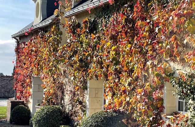 Charming 3-bedroom Family Manor with AC and WiFi in Allonnes