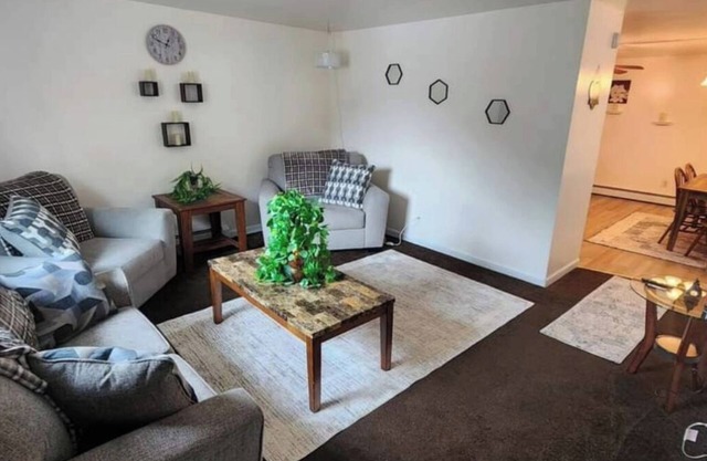 Charming 3-bedroom house in Vestal with WiFi