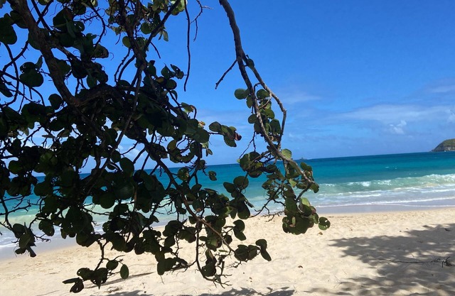 Charming accommodation with swimming pool and panoramic view