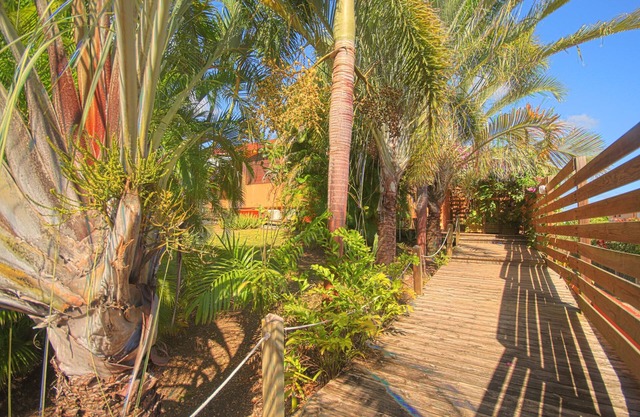 Charming apartment in villa near the beach