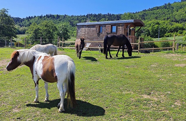 Charming caravan in the Ardéchoise hills